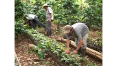 thumbnail of medium pequena-central-hidroelectrica-beneficiarios-y-durabilidad-53518248130001791