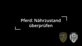 Kontrolle des Nährzustands beim Pferd