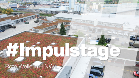 thumbnail of medium Impulstage: Rote Welle in HINWIL