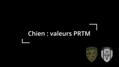 Valeurs PRTM du chien