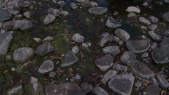 thumbnail of medium Agua-para-vivir-53519504390001791