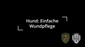 Einfache Wundpflege beim Hund