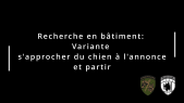 4.4 Recherche de bâtiment: Variantes s'approcher du chien à l'annonce