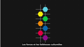 thumbnail of medium Culture Map FR
