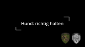 Hund richtig halten beim Vet Az Of