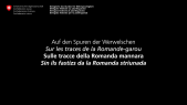 thumbnail of medium Auf den Spuren der Werwelschen