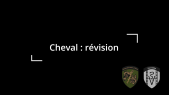 Déroulement de la révision de chevaux de selle ou de bât