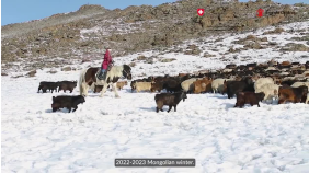 thumbnail of medium Humanitarian-Aid-delivered-to-herders-children-EN-53513797850001791