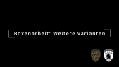 3.7.2 Boxenarbeit: Weitere Varianten 
