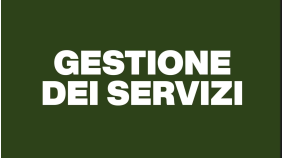 thumbnail of medium La gestione dei servizi