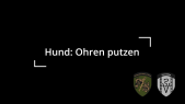 Ohrenpuzten beim Hund