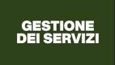 thumbnail of medium La gestione dei servizi
