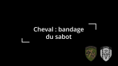Bandage du sabot