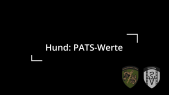 PATS-Werte beim Hund