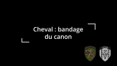 Bandage du canon