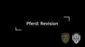 Ablauf der Revision beim Reitpferd oder Tragtier