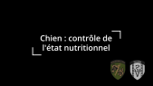 Contrôle de l'état nutritionnel du chien de service