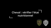 Contrôle de l'état nutritionnel du cheval