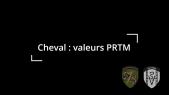 Valeurs PRTM du cheval